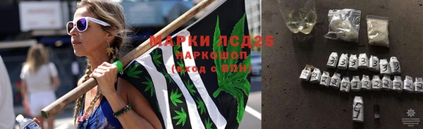 спайс Алагир