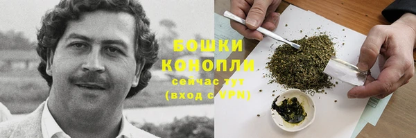 тгк Медвежьегорск