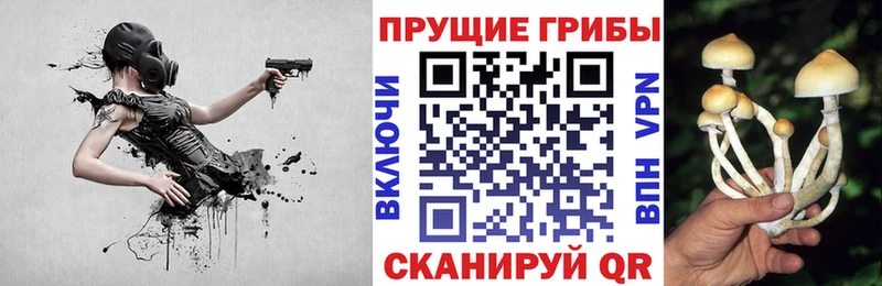 Галлюциногенные грибы Psilocybe  как найти закладки  Подпорожье 